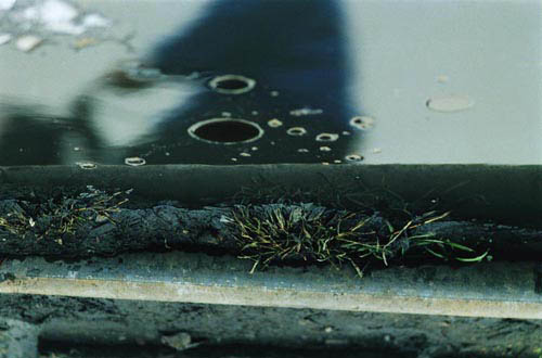 Peng Yu, Exile, 2000. Video still. Collection of M HKA /Museum of Contemporary Art, Antwerp.