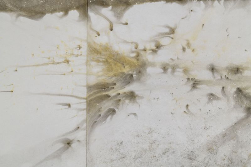 CAI Guo-Qiang