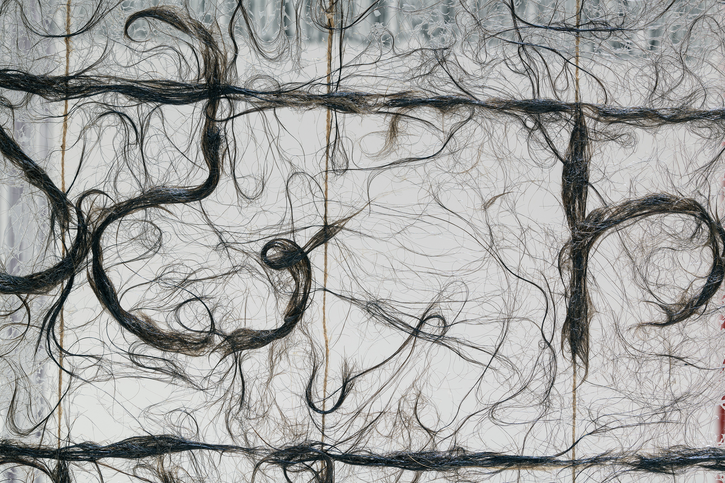 gu wenda, united nations: american code, 2018–2019. Detail. Photo © Museum Associates/LACMA.