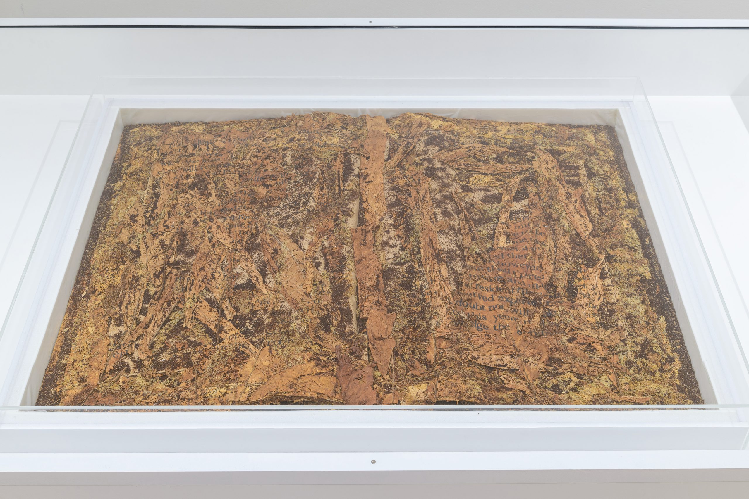 Xu Bing, Tobacco Book, 2011. Photo courtesy of © Museum Associates/LACMA.