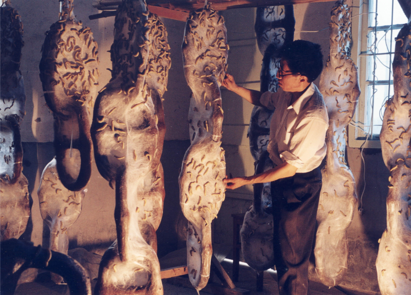 LIANG Shaoji