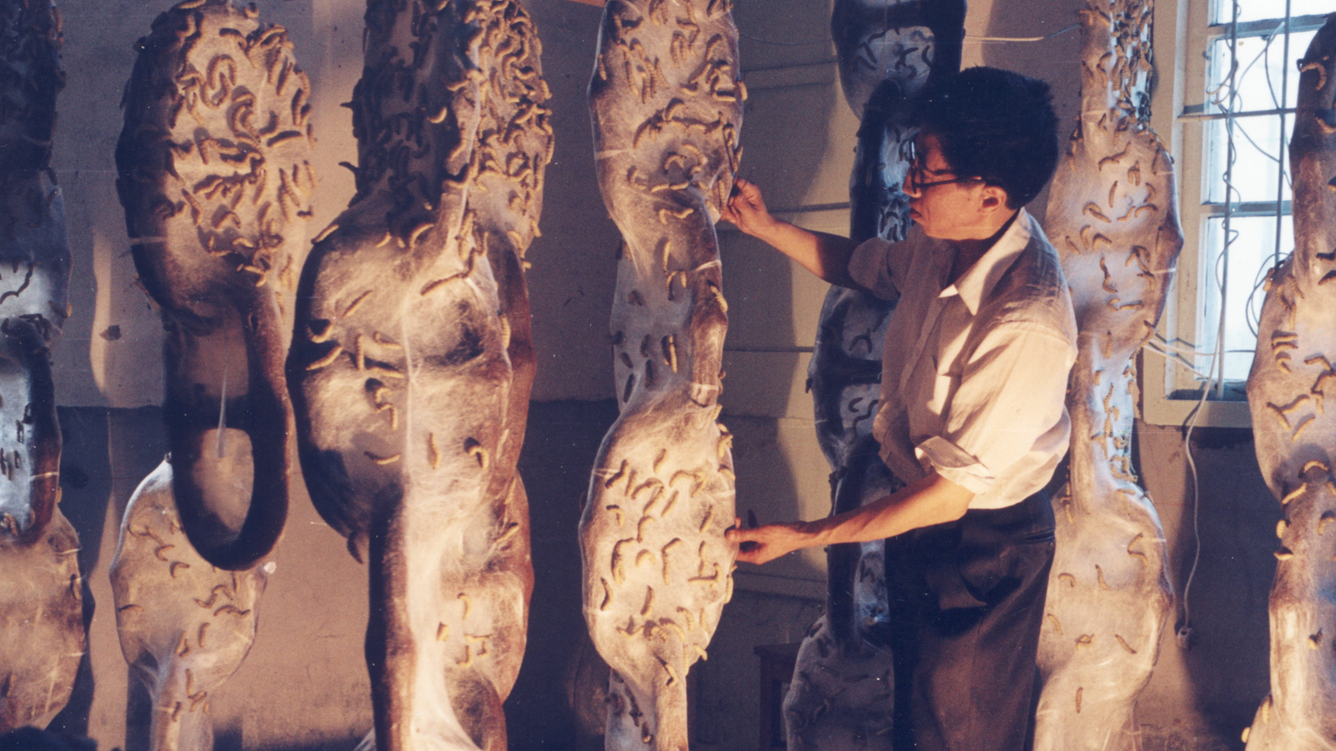 A man gestures to silk worm covered hanging chains