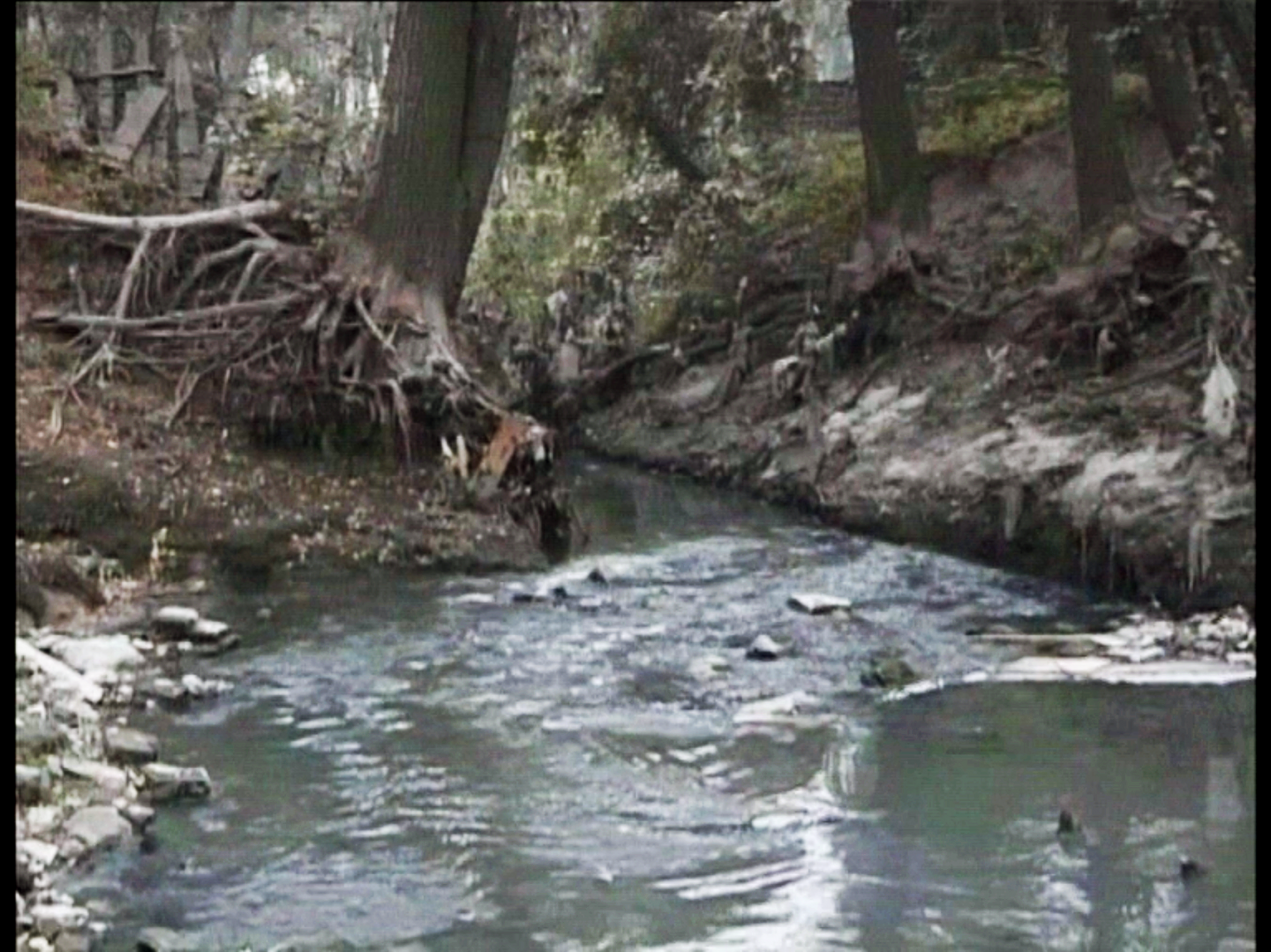 Peng Yu, Exile, 2000. Video still. Photo courtesy of the artist.