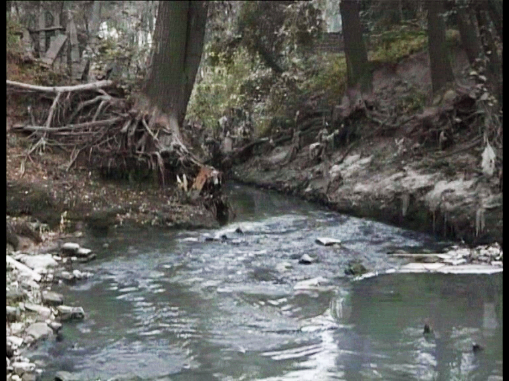 Peng Yu, Exile, 2000. Video still. Photo courtesy of the artist.