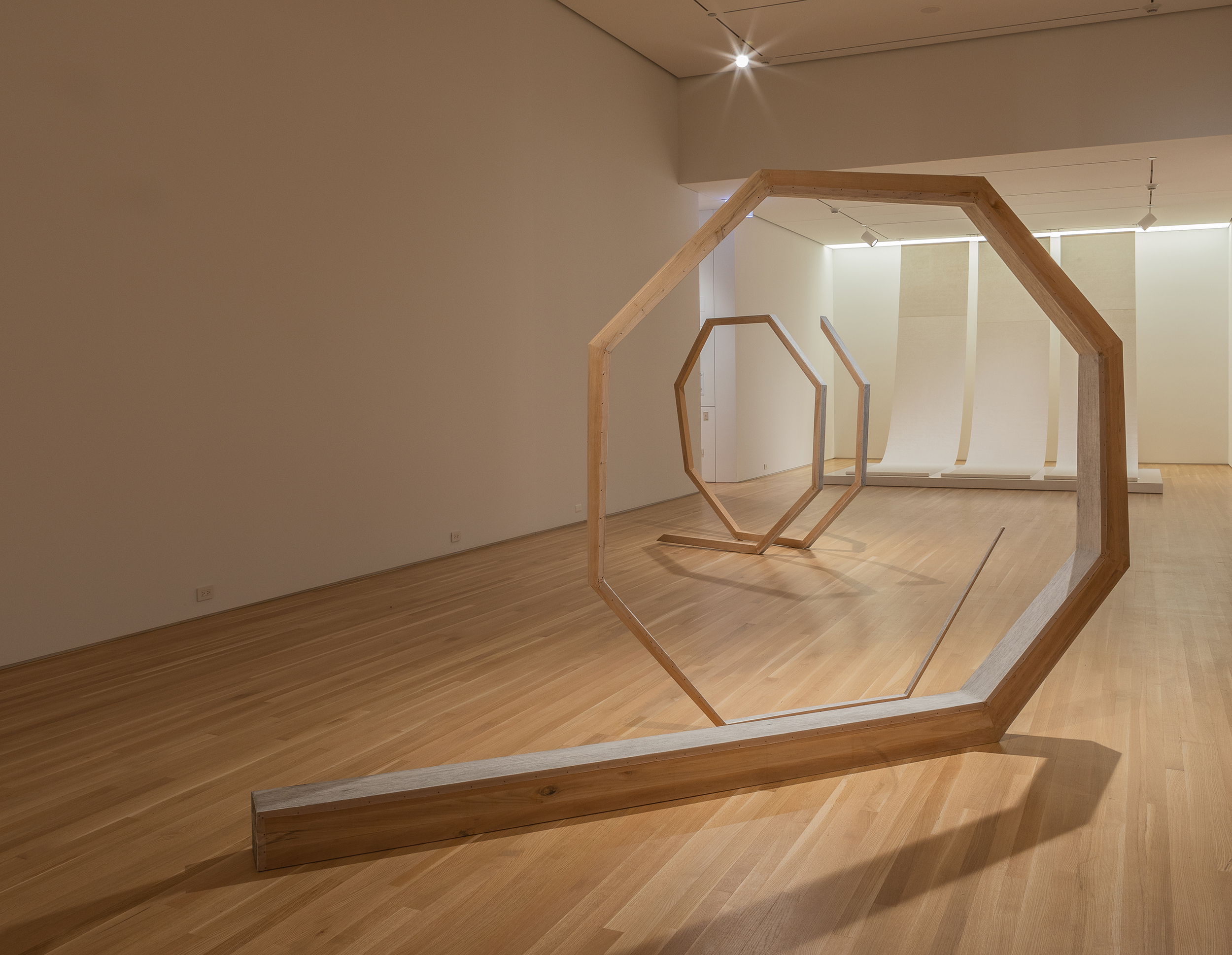 Hu Xiaoyuan, Ant Bone IV and Ant Bone V, 2015. Installation view, The Allure of Matter: Material Art from China, Wrightwood 659.