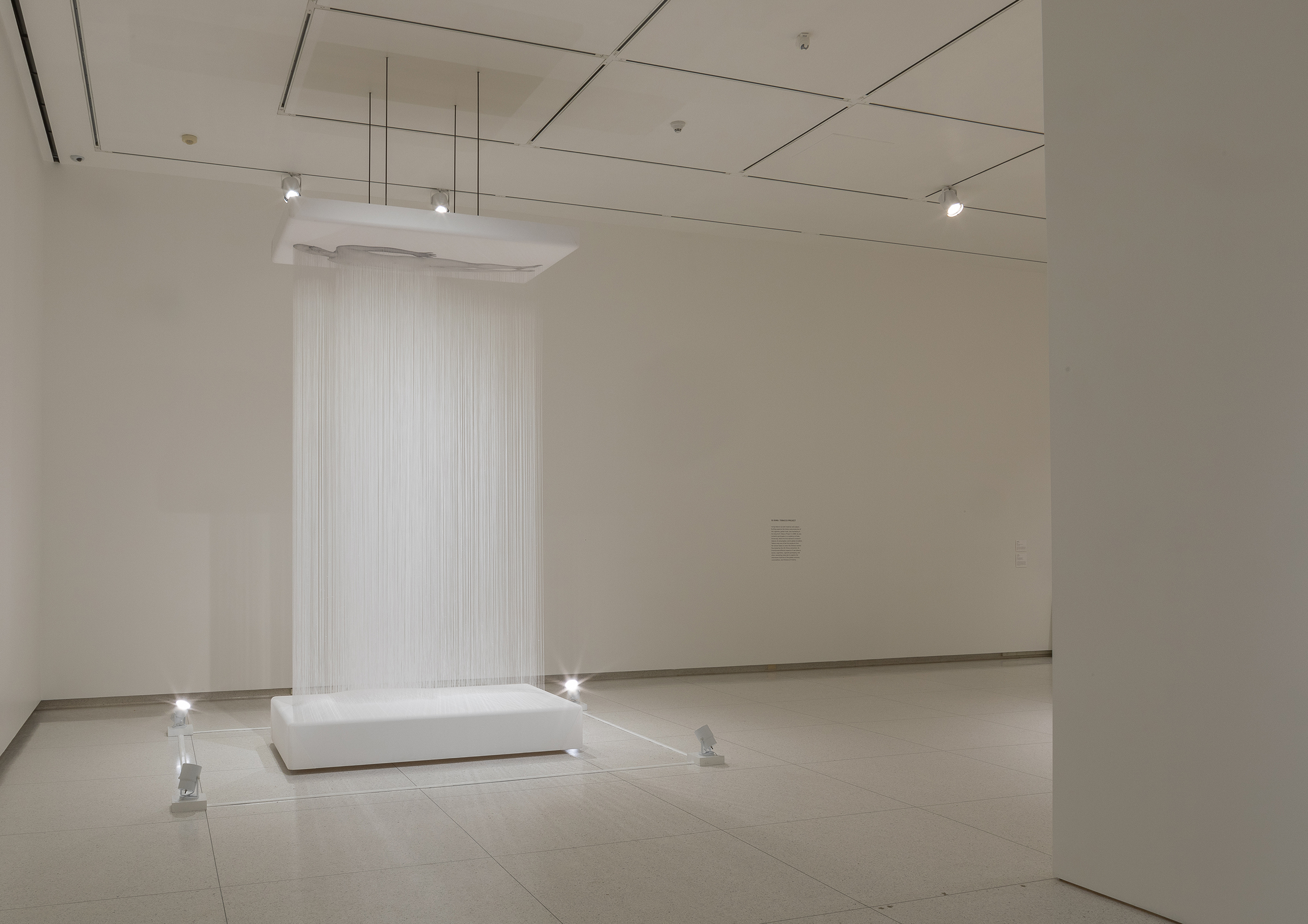 Lin Tianmiao, Day-Dreamer, 2000