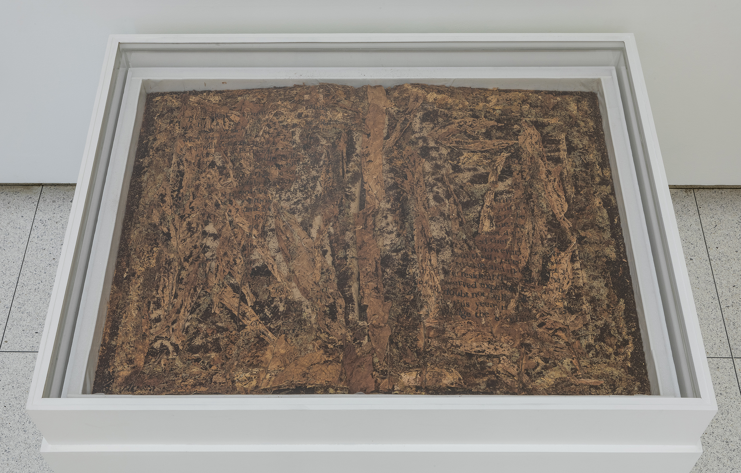 Xu Bing, Tobacco Book, 2011