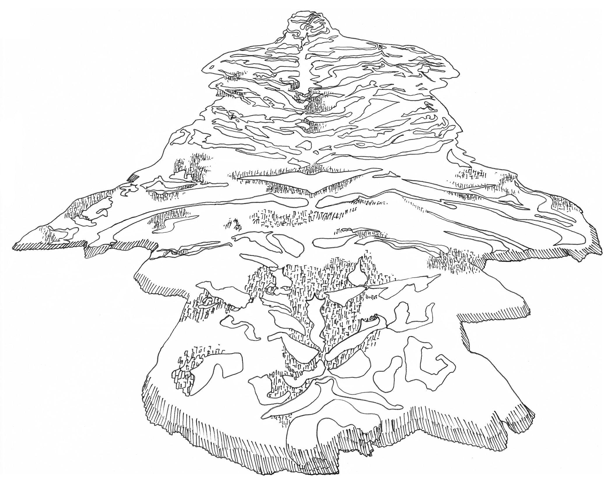 Coloring page inspired by Xu Bing, 1st Class, 2011. Drawn by Erik L. Peterson for the Smart Museum of Art at the University of Chicago.