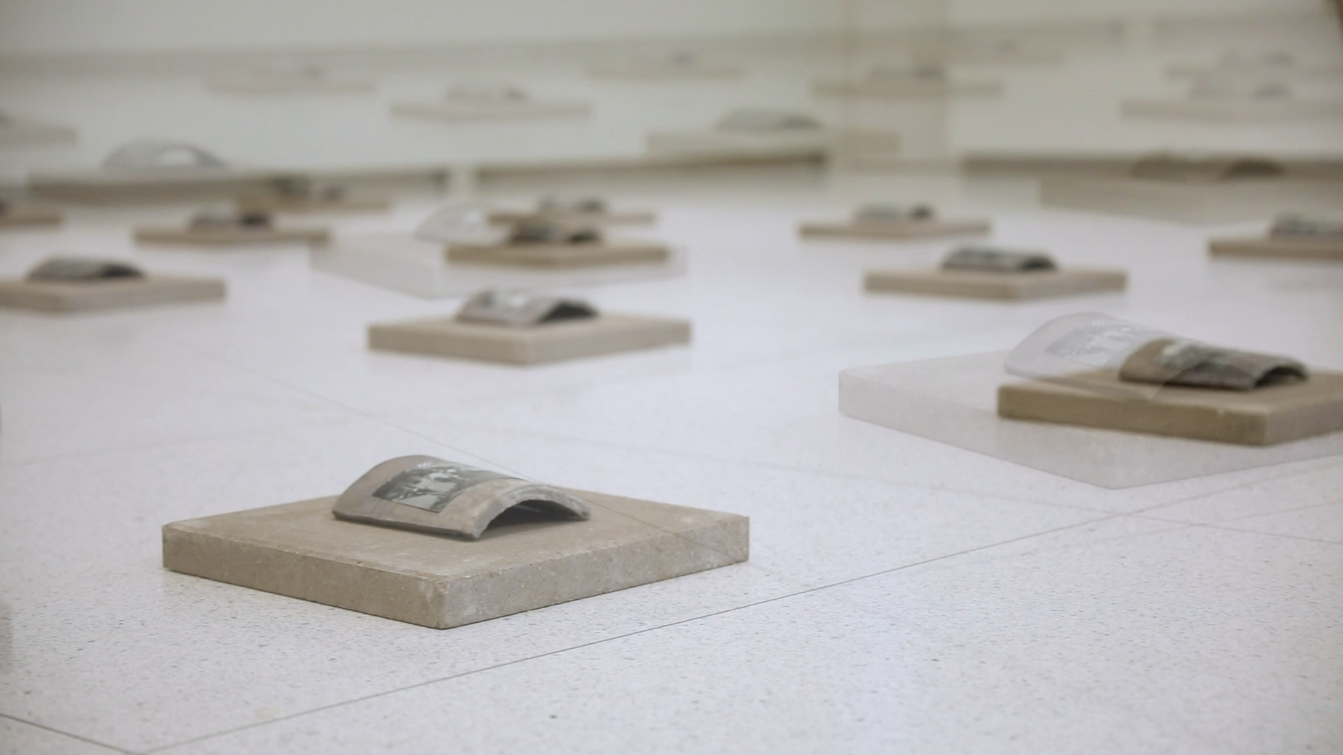 Still from Transformation by Irene Hsiao with Vin Reed.